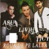 TICY、Liviu Guta、Asu' - Roua De Pe Lalea