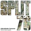 Delfini - Tombula