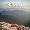 Slovak Radio New Philharmonic Orchestra、Shardad Rohani - Concerto pour clarinette en la majeur, KV 622: II. Adagio
