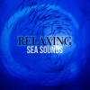 Relaxing Sea Sounds - Waves: Incoming