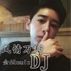 金6 - 风情万种 (DJ版)