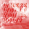 Håkan Ludvigson、Joachim Broeckers、Freedah Soul《Where Would You Be Now ft. Freedah Soul (Original mix)》[MP3/LRC]