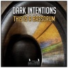 Dark Intentions《This Is a Bassdrum》[MP3/LRC]