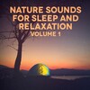 Michael Hamilton - Sounds from a Field: Larks and Crickets