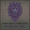 natural black、Perfect《Black Warrian Straight》[MP3/LRC]