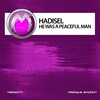 Hadisel - End of an Era