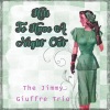 the jimmy giuffre trio《Brief Hesitation》[MP3/LRC]