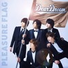 DearDream - PLEASURE FLAG