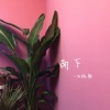 IR拖鞋 - 南下