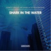 Robert Abigail、WildVibes、Lauren Mayhew - Shark In The Water (Original Mix)