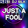 DJ Silk - Just a Fool