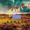 赵浩伟、王文君 - 悲雨