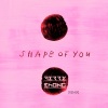 Terry Zhong 钟天利、Ed Sheeran - Shape Of You  (Terry Zhong Remix)