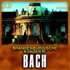 St. Petersburg Orchestra Opera - Brandenburg Concerto No.1 in F Major, BWV 1046: I. Allegro moderato