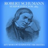 RTV Moscow Symphonic Orchestra、Vladimir Fedoseyev、Robert Schumann - I. Sostenuto assai - Allegro, ma non troppo