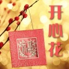 Radio-Man电波先生 - 开心花