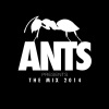 los suruba《ANTS Presents (The Mix 2014|Andrea Oliva Mix)》[MP3/LRC]