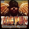 Big Pun《Intro (Explicit)》[MP3/LRC]