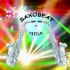 DJ Team《Mr Saxobeat (Originally Performed by Alexandra Stan)(Karaoke Lead Vocal Version)》[MP3/LRC]