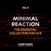 Joe Maker - Minimal Female (Diroma Remix)