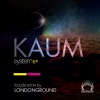 Kaum《Backdoor》[MP3/LRC]