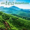 The Ming Flute Ensemble - The Maidens of the Tea Mountain