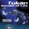 Tukan - Wonder of Life (Original Club Mix)