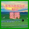 黙言《草原归来难放下 (DJ版)》[MP3/LRC]