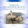 Saint Petersburg Radio、TV Symphony Orchestra - The Sleeping Beauty, Op. 66 Act II, No.10: Interlude and Scene