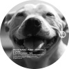 Raphael Dincsoy、robin hirte - Happy