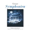 Mozart Festival Orchestra、Alberto Lizzio - I. Adagio - Allegro