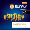 Sunfly Karaoke - Good Day in the Style of Hayley Warner