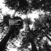 solomun - Deadman