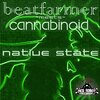 Beatfarmer - Native State (Cannabinoid's Give the Drummer Some Remix)