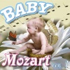 Baby Mozart Orchestra《Una Pequeña Musica Nocturna Kv 525 Allegro 7》[MP3/LRC]