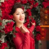 刘亚芹 - 苦菜花