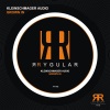 Kleinschmager Audio - Grown In (Marek Bois Remix)