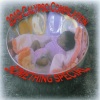 Derrick Seales - Something Special