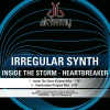 Irregular Synth - Inside the Storm (Original Mix)