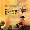 Dominik Eulberg、Gabriel Ananda《Eucalypse Now!》[MP3/LRC]