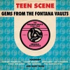 The Hunters《Teen Scene》[MP3/LRC]