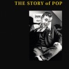 Woog Riots - The Story of Pop