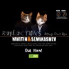 Nikitin、Semikashev - Reflection Vector