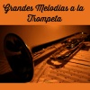 Mariachi Nuevo Tecalitlan - El Jarabe Tapatío