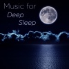 Massage Tribe《Winds of Sleep》[MP3/LRC]