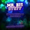 Ameritz Audio Karaoke - Mr. Big Stuff