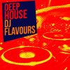 french house music dj - Midnight Runner