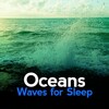 Ocean Waves for Sleep - Waves: On the Beach