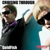 Goldfish & Blink - Crusing Through