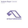 Andrew Bayer - Celestial